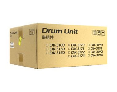 Kyocera OEM DK-3170 Drum Unit – negru (302T993060)